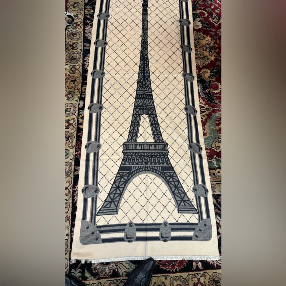 New never worn market sample PARIS Scarf